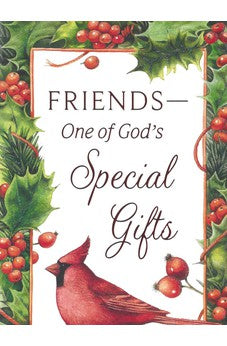 DaySpring - Marjolein Bastin - Friends One of God's Special Gifts - 18 Inspirational Christmas Boxed Cards, NLT (J3384)