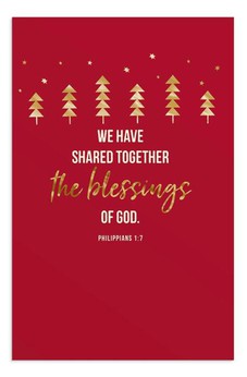 DaySpring - Blessings of God - 18 Christmas Boxed Cards & Envelopes, NIV (J8849)
