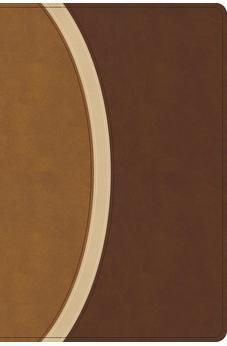 CSB Rainbow Study Bible, Brown LeatherTouch (Limited Edition), Full-Color Design, Black Letter, Color-Coded Reading Plan, Easy-to-Read Bible Serif Type