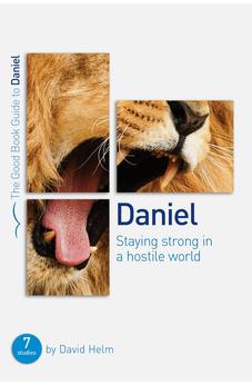 Daniel: Staying strong in a hostile world (Good Book Guides)