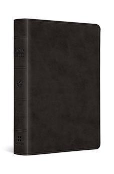ESV Value Large Print Compact Bible (TruTone, Black)