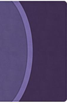 CSB Rainbow Study Bible, Purple LeatherTouch (Limited Edition), Full-Color Design, Black Letter, Color-Coded Reading Plan, Study Tools, Full-Color Maps, Easy-to-Read Bible Serif Type