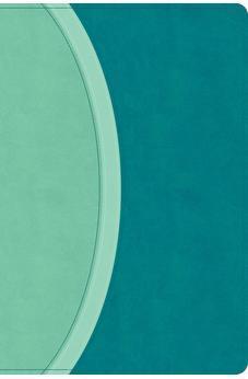 CSB Rainbow Study Bible, Teal LeatherTouch (Limited Edition), Full-Color Design, Black Letter, Color-Coded Reading Plan, Study Tools, Full-Color Maps, Easy-to-Read Bible Serif Type