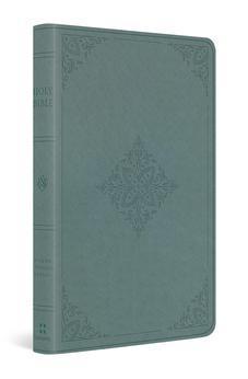 ESV Value Thinline Bible (TruTone, Paris Sky, Fleur-de-lis Design)