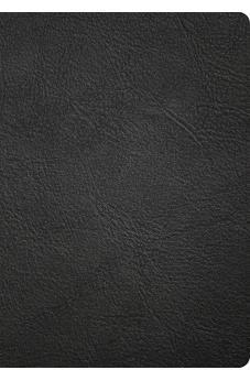 CSB Baker Illustrated Study Bible, Black Genuine Leather, Red Letter, Full Color Interior, Study Note Commentary, Articles, Images,