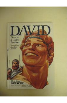 David Drops a Giant Problem: And Other Fearless Heroes (Baker Interactive Books for Lively Education)