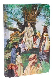 KJV Seaside Bible