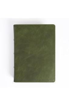 CSB She Reads Truth Bible, Holman Handcrafted Collection, Olive Premium Calfskin, Black Letter, Wide Margins, Journaling Space, Single-Column