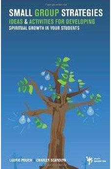 Small Group Strategies: Ideas and Activities for Developing Spiritual Growth in Your Students 9780310258018