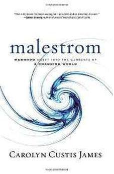 Malestrom: Manhood Swept into the Currents of a Changing World 9780310325574