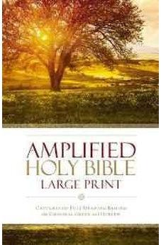 AMP Holy Bible, Large Print, Hardcover