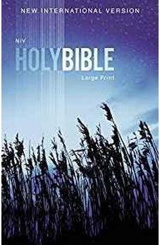 NIV, Outreach Bible, Large Print, Paperback 9780310446378