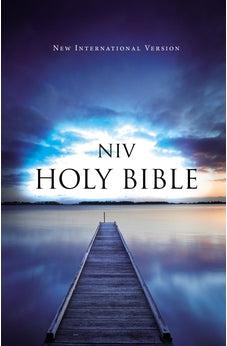 NIV, Value Outreach Bible, Paperback 9780310446774