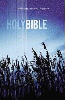 NIV, Value Outreach Bible, Paperback 9780310446828