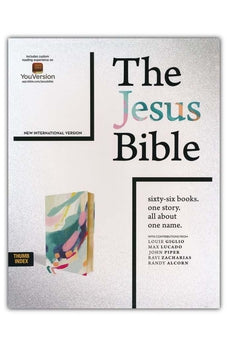 NIV Jesus Bible Artist Edition Comfort Print soft leather-look multi-color/teal (indexed)