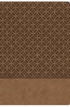 KJV Study Bible, Imitation Leather, Tan, Indexed, Red Letter Edition: Second Edition (Signature) 9780529106537