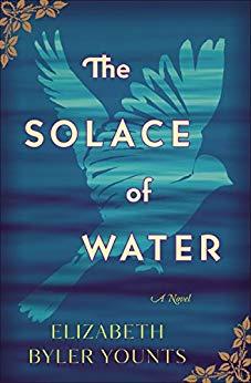 The Solace of Water: A Novel 9780718075668