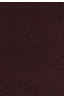 KJV, The King James Study Bible, Bonded Leather, Burgundy, Indexed, Full-Color Edition