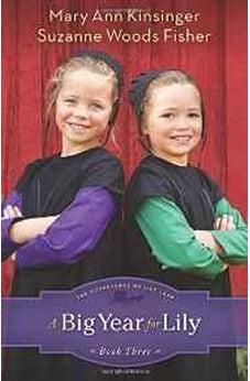 Big Year for Lily, A 9780800721343