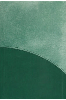 CSB Rainbow Study Bible, Leathertouch, Forest Green