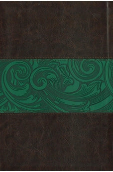 CSB Rainbow Study Bible Green Leathertouch Indexed