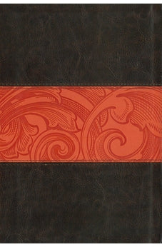 CSB Rainbow Study Bible, Leathertouch, Indexed, Orange