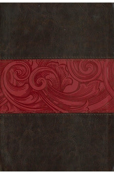 CSB Rainbow Study Bible, Wine Leathertouch, Indexed