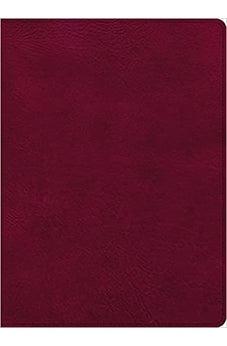 CSB Holy Land Illustrated Bible, Burgundy LeatherTouch, Indexed, Black Letter
