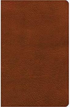 CSB Thinline Bible, Burnt Sienna LeatherTouch
