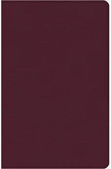 CSB Thinline Reference Bible: Knowing & Doing the Will of God - Cranberry LeatherTouch