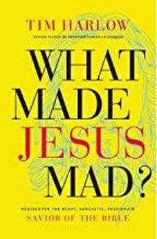 What Made Jesus Mad?: Rediscover the Blunt, Sarcastic, Passionate Savior of the Bible 9781400208609