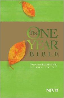 NIV One Year Bible Premium Slimline Large Print edition 9781414359854